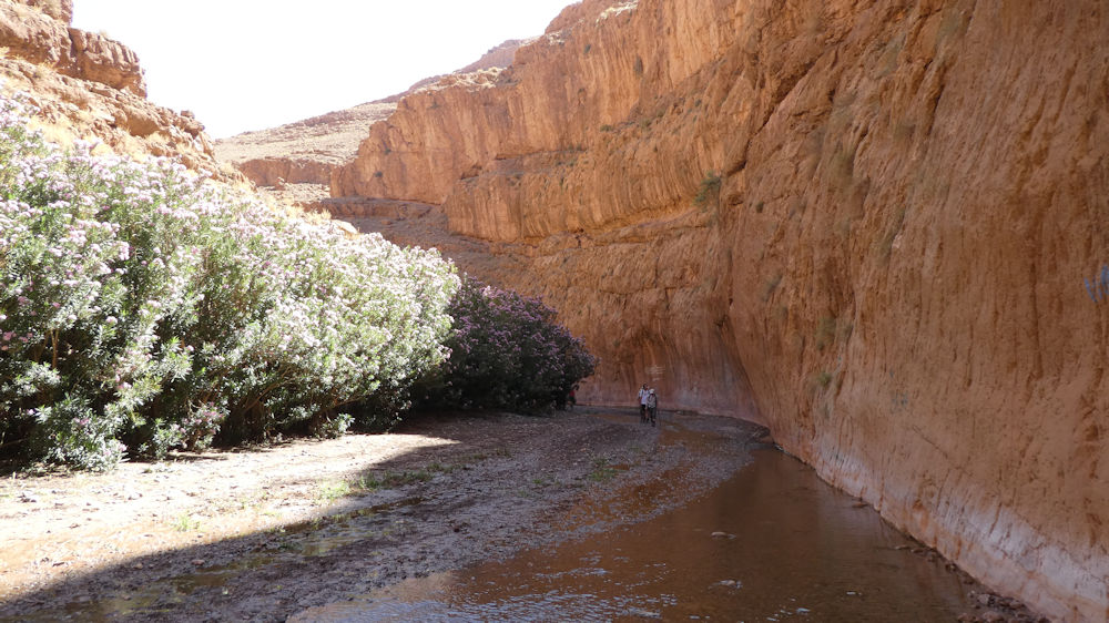 In the gorge